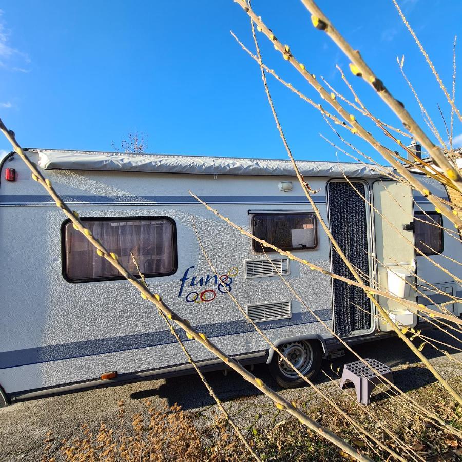 Hotel Louise'S Camper Neusiedl an der Zaya Zewnętrze zdjęcie
